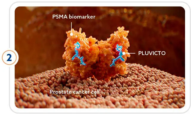 Pluvicto 2